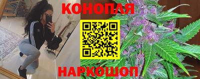 прущие крисы Абакан