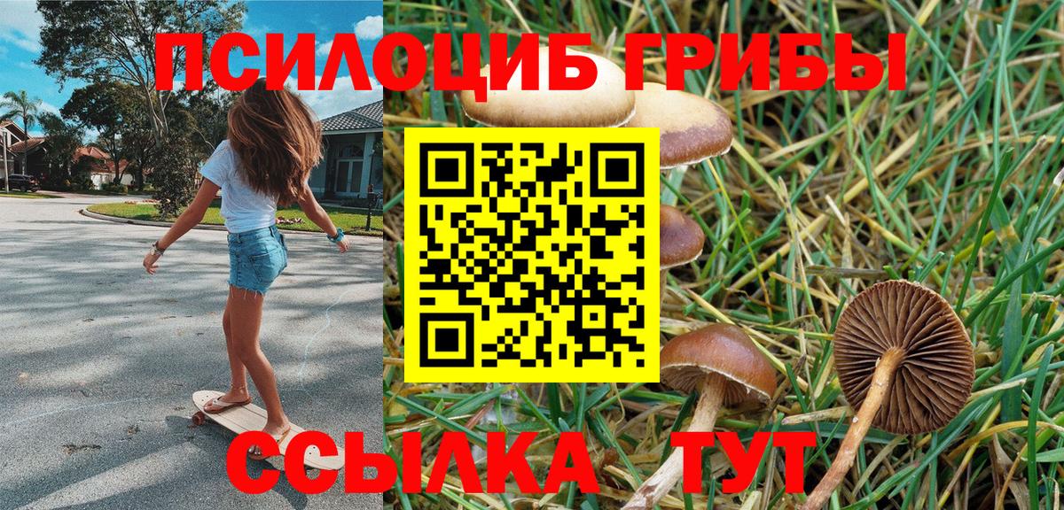Псилоцибиновые грибы MAGIC MUSHROOMS Алейск