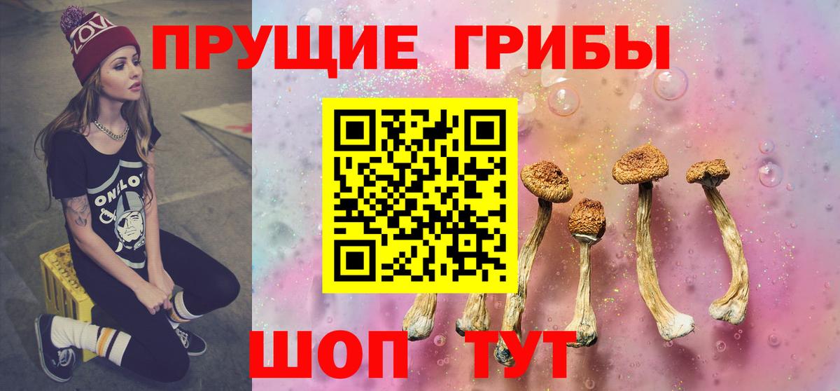 Каннабис  Алейск  Вход с VPN  Меф кристаллы  МЕТАМФЕТАМИН  ГАШ  Кокаин  ЭКСТАЗИ 