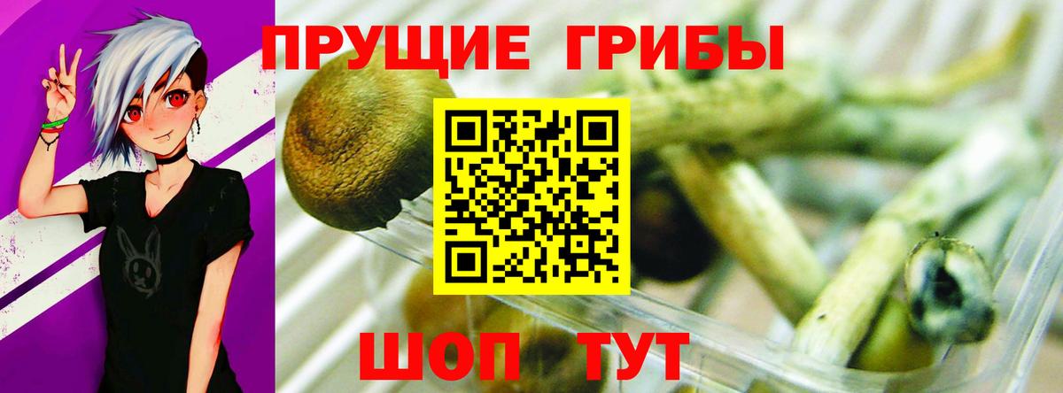 Псилоцибиновые грибы GOLDEN TEACHER  Псилоцибиновые грибы Magic Shrooms  Алейск  Вход с VPN 